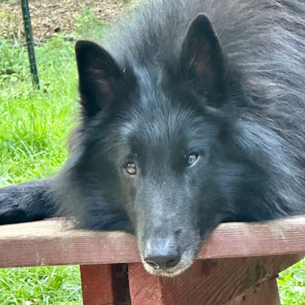 Meet your Posher, Carolyn